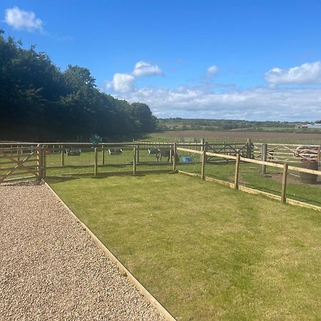 Millburn Mini Farm Hotel Kilwinning Exterior photo